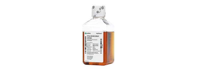 Fetal Bovine Serum