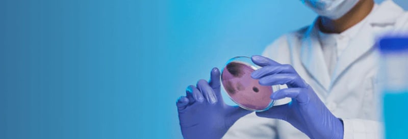 Clinical Microbiology Essentials