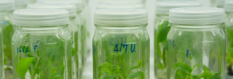 Biotechnology Resources