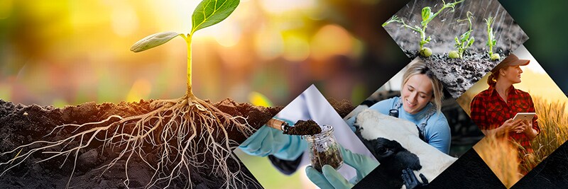 Clean Energy Research & Production