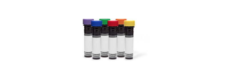 Get 2 Extra BD Antibodies When You Buy 4