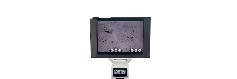 Digital Compound Classroom Microscopes