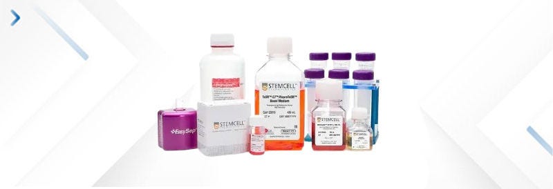 Cell Culture