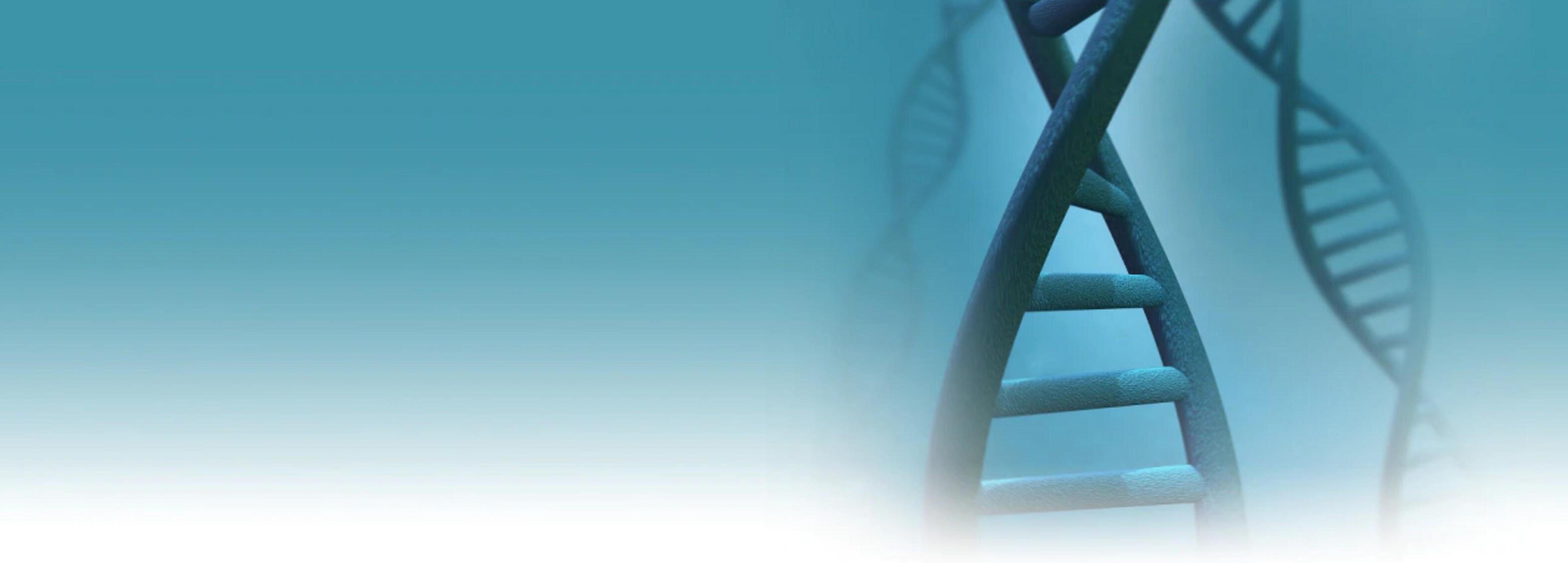 Tumor Avatars” Could Help Identify Effective Cancer Treatments