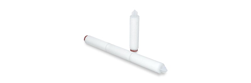 Achieve product quality and beverage processes with Thermo Scientific LifeASSURE BBA Filters.