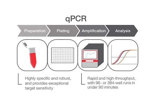 qPCR Infographic