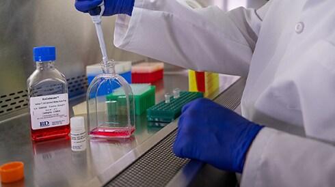 Cell Culture Media, Supplements, and Reagents