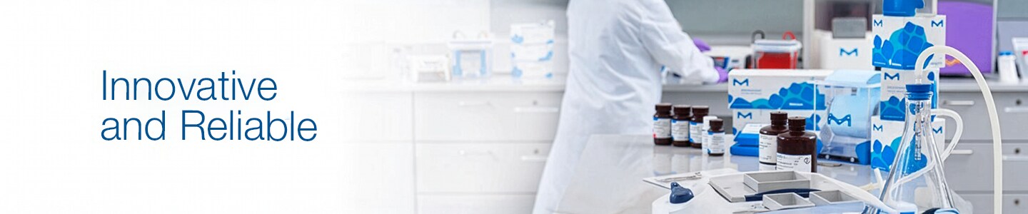 MilliporeSigma Western Blotting Solutions