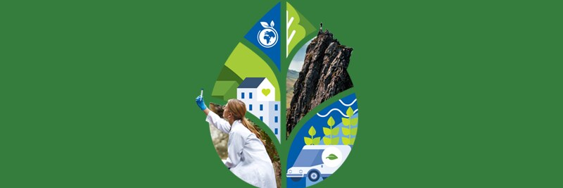 Sustainability Services