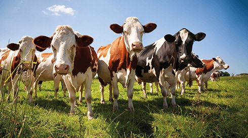 Exploring renewable energy discoveries and innovations