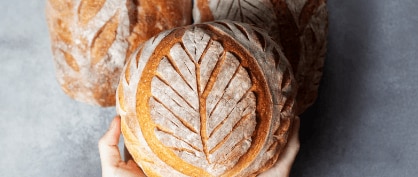 Fermentation Fundamentals: The Science of Sourdough Bread