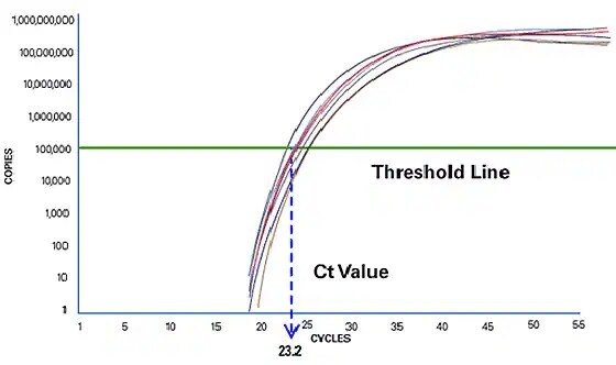 24823_image3.jpg