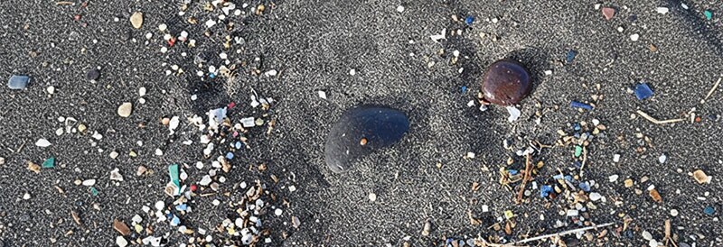 Microplastiques : enquête sur les risques et compréhension des données probantes