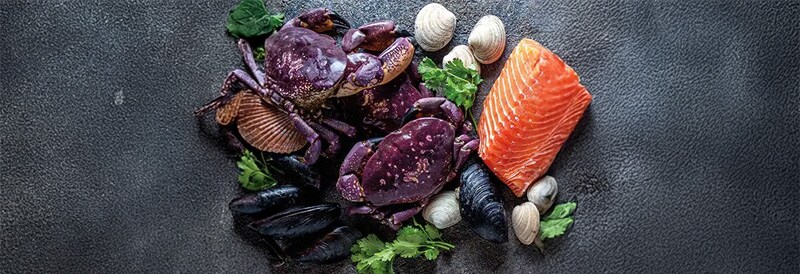 Seafood with a Side of Microplastics 