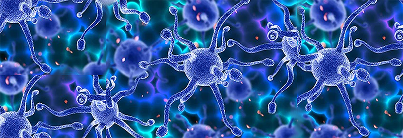 La lutte contre la résistance aux antimicrobiens: un défi mondial urgent