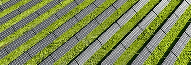 Dual Use of Land: Solar Panels and Agriculture