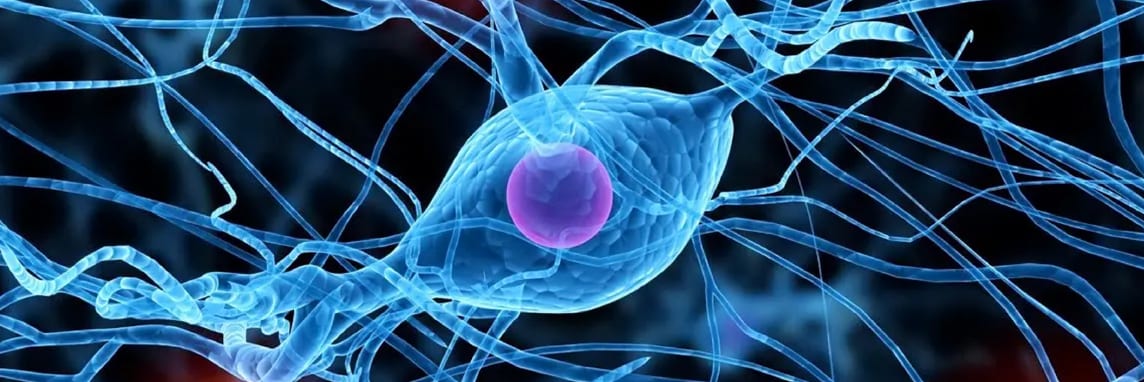 Could Bioelectronics Be the Future of Medicine? 