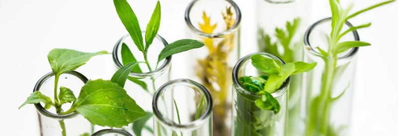 A Partnership for the Planet my Green Lab