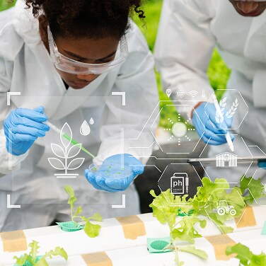 A Matter of Taste: How Food Science Is Improving What We Eat & Drink