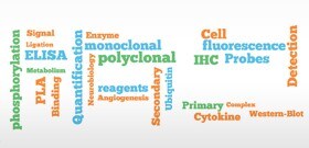 abnova-antibody-pairs-fpr abnova-antibody-pairs-fpr