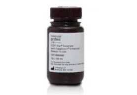 featured-product-immunoassay-reagents-and-kits-24-1518