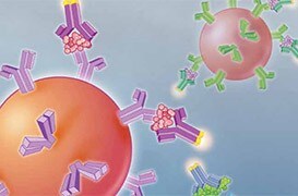 bd-biosciences-bead-based-immunoassays