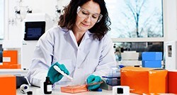 Analysis/Western Blotting