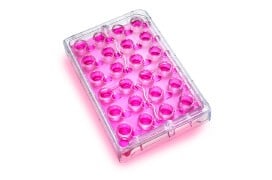 MultiScreen™ and Millicell™ Plates
