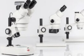 Stereo Microscopes