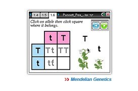 ti-biology ti-biology