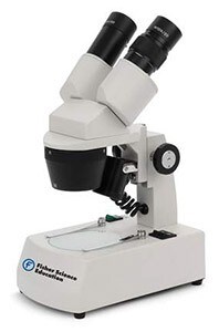 STEREO-MICROSCOPES-fisher-sci