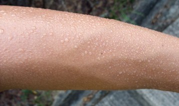 sweat sweat