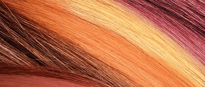 Getting Down to the Science of Hair
