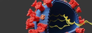 viruses-20-439-1761-m