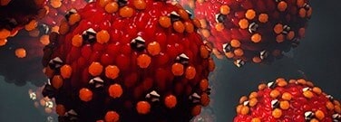 the-effect-measles-immunity-arch-1761
