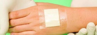 biology-archive-optimized-healing-thanks-virtual-wounds-1761