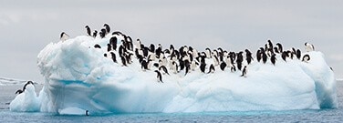 A Cool Discovery: Penguin Poop Powers Cloud Formation in Antarctica