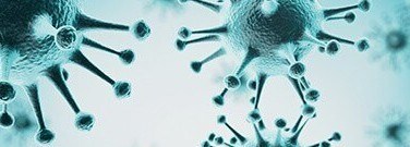 biology-archive-viruses-capable-gene-transfers-1761