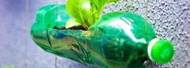 enviro-archive-the-green-genie-bottle-1761