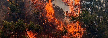 wildfires-itch-m-2220