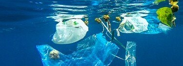 marine-microbes-help-fight-plastic-pollution-arch-1761