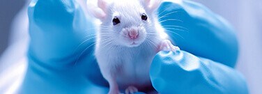 Save the Critters: Reducing Animal Testing in Research