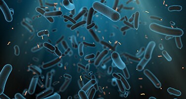 Urinary Tract Microbiota Detection