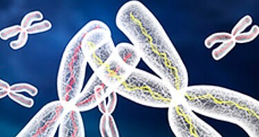 Cystic Fibrosis Transmembrane Regulator Real-Time (CFTR) PCR Solution