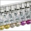 microbiology-identification Identification