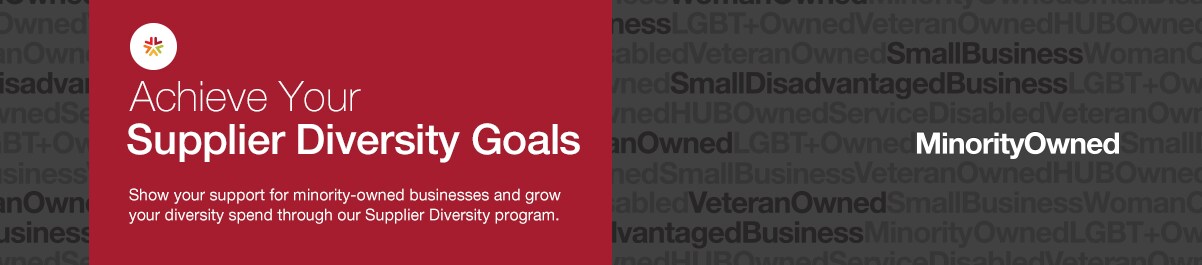 Minority-Owned Small Business Minority-Owned Small Business