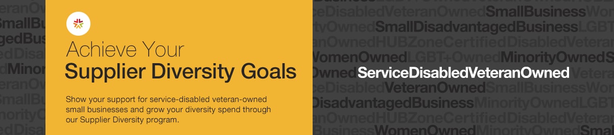 Service-Disabled Veteran Businesses Service-Disabled Veteran Businesses