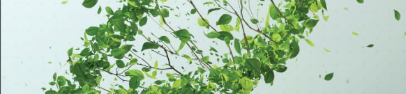 Corning Sustainability Brochure