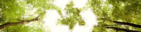 Lab Reporter: Sustainable Solutions Offer Labs a Greener Choice