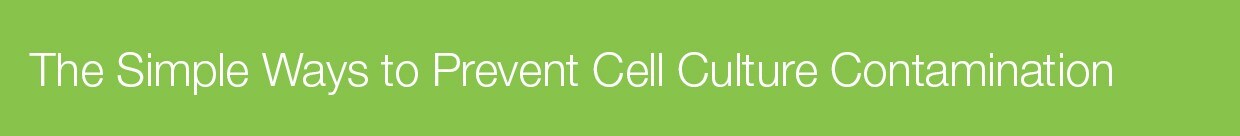 simple-ways-culture-contamination-d-1681 simple-ways-culture-contamination-d-1681